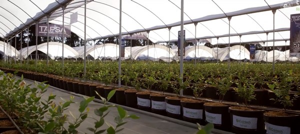 墨西哥農(nóng)業(yè)博覽會(huì)（Expo AgroAlimentaria）將如期舉行