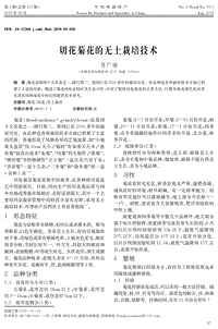 切花菊花的無土栽培技術(shù).pdf