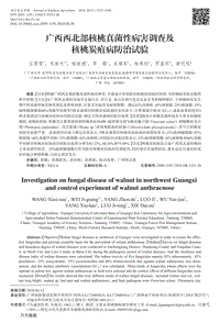 廣西西北部核桃真菌性病害調(diào)查及核桃炭疽病防治試驗.pdf