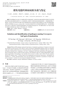 甜瓜尾孢葉斑病病原分離與鑒定.pdf