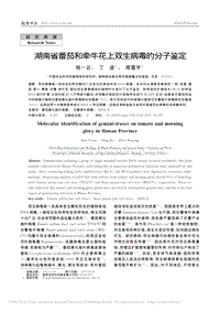 湖南省番茄和牽?；ㄉ想p生病毒的分子鑒定_班一云.pdf