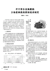 半干旱區(qū)設(shè)施葡萄立體套種高效栽培技術(shù)研究.pdf