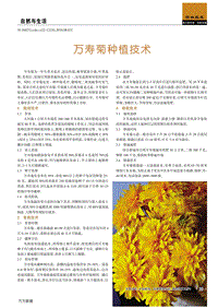 萬壽菊種植技術(shù).pdf
