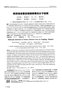 陜西楊凌番茄褪綠病毒的分子檢測(cè).pdf