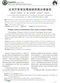 北京萬壽菊灰霉病病原菌分離鑒定.pdf