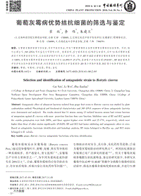 葡萄灰霉病優(yōu)勢拮抗細(xì)菌的篩選與鑒定.pdf