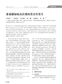 番茄褪綠病毒在湖南省首次發(fā)生.pdf