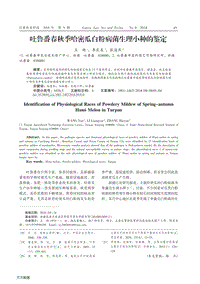 吐魯番春秋季哈密瓜白粉病菌生理小種的鑒定.pdf