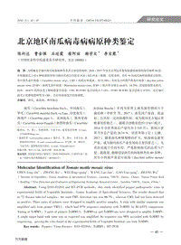 北京地區(qū)南瓜病毒病病原種類(lèi)鑒定.pdf