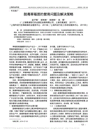 脫毒草莓苗的繁育問題及解決策略.pdf
