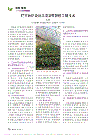 遼西地區(qū)設(shè)施溫室草莓管理關(guān)鍵技術(shù).pdf