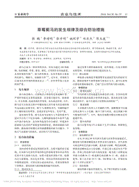 草莓薊馬的發(fā)生規(guī)律及綜合防治措施.pdf