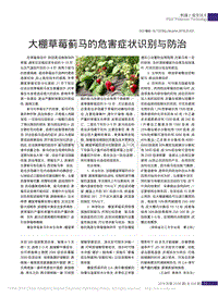 大棚草莓薊馬的危害癥狀識別與防治.pdf