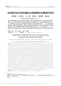 采用鼓風(fēng)機(jī)吹落花瓣防治草莓果實灰霉病的研究.pdf