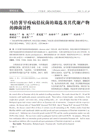馬鈴薯早疫病拮抗菌的篩選及其代謝產(chǎn)物的抑菌活性.pdf