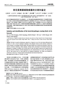 青花菜黑腐病致病菌的分離和鑒定.pdf