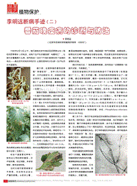 李明遠斷病手跡（二）番茄晚疫病的診斷與防治.pdf