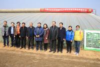 五位院士參加的黃瓜品種中農(nóng)26展示會(huì)0.jpg
