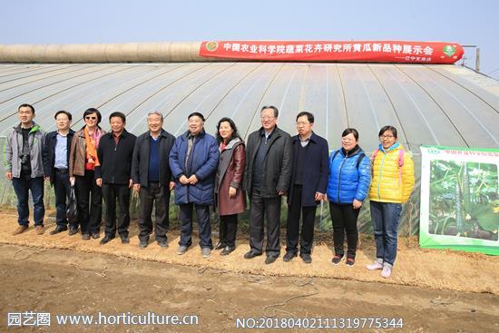 五位院士參加的黃瓜品種中農(nóng)26展示會0.jpg