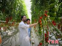 海升集團(tuán)平?jīng)龌胤研乔蚶?jpg
