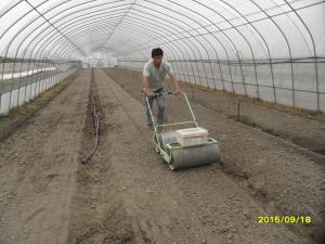 上海矢崎蔬菜播種機(jī).JPG