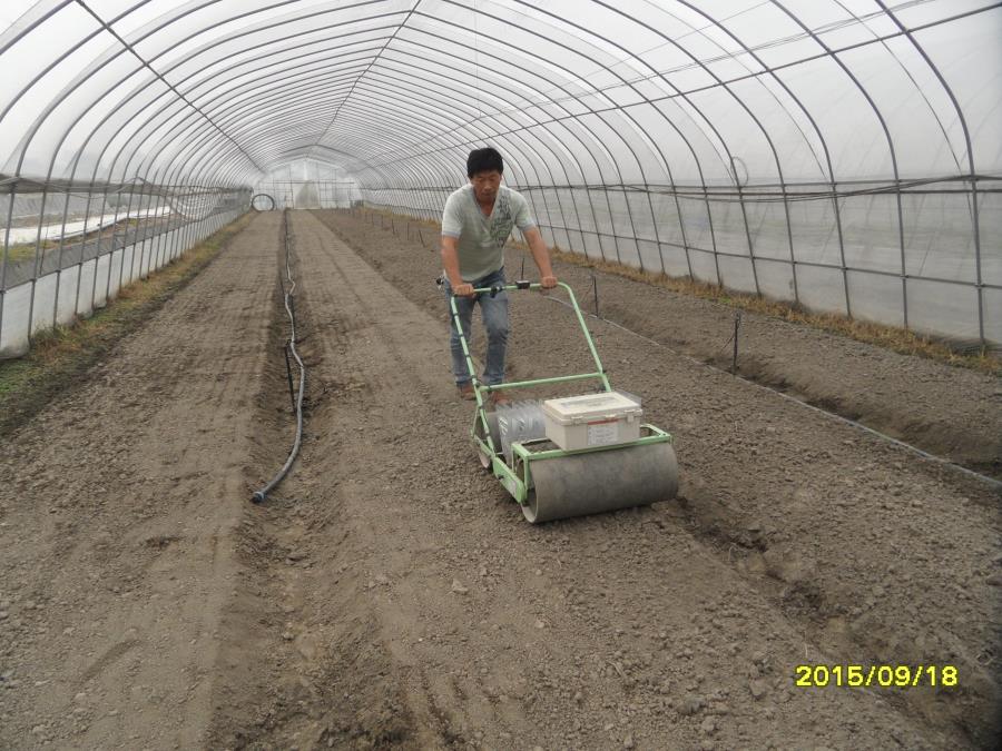 上海矢崎蔬菜播種機.JPG