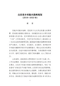 山東省鄉(xiāng)村振興戰(zhàn)略規(guī)劃（2018-2022年）.pdf