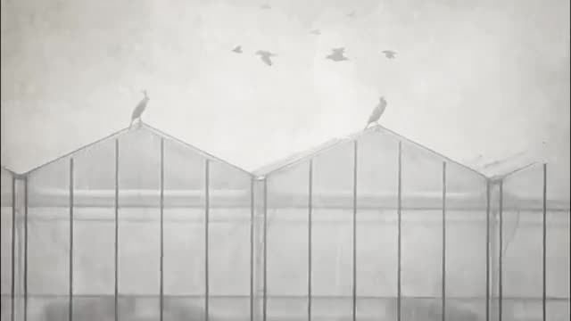 Het ontstaan van Van der Valk Systemen- Horti Systems- Solar Systems.mp4