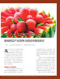 提高西瓜產(chǎn)業(yè)競(jìng)爭(zhēng)力的技術(shù)路徑探討