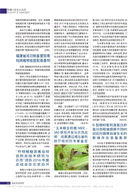 作物根蛆類害蟲綜合防治技術(shù)研究省略項目2016年度總結(jié)會在北京召開.pdf