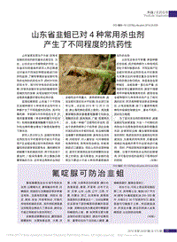 山東省韭蛆已對4種常用殺蟲劑產(chǎn)生了不同程度的抗藥性.pdf