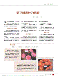 菊花新品種的培育pdf