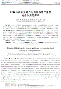 LED株間補(bǔ)光對日光溫室番茄產(chǎn)量及光合作用的影響