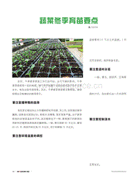 蔬菜冬季育苗要點(diǎn).pdf