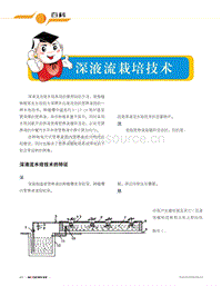 百科：深液流栽培技術(shù).pdf
