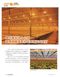 銀川愛(ài)必達(dá)5公頃玫瑰種植溫室補(bǔ)光系統(tǒng)正式亮燈.pdf