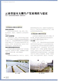 云南省溫室大棚生產(chǎn)發(fā)展現(xiàn)狀與建議