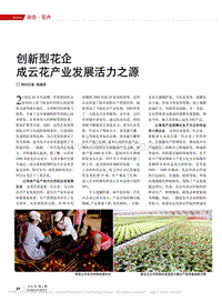 創(chuàng)新型花企成云花產(chǎn)業(yè)發(fā)展活力之源