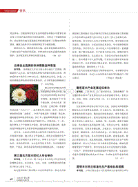 云南自主選育的非洲菊新品種受寵