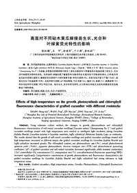 高溫對不同砧木黃瓜嫁接苗生長、光合和葉綠素熒光特性的影響