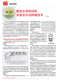 番茄水泥磚結(jié)構(gòu)深液流水培種植技術(shù)