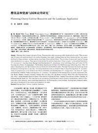 櫻花品種資源與園林應用研究