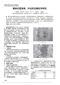 蕨麻試管苗根_葉的形態(tài)解剖學研究