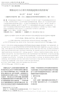 銅脅迫對(duì)小白菜葉肉細(xì)胞超微結(jié)構(gòu)的影響