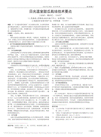 日光溫室甜瓜栽培技術(shù)要點(diǎn)