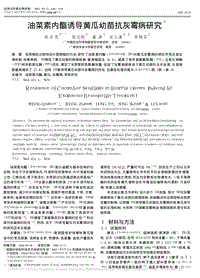 油菜素內(nèi)酯誘導黃瓜幼苗抗灰霉病研究