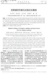 殼聚糖誘導(dǎo)黃瓜幼苗抗灰霉病
