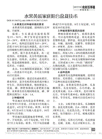 水果黃瓜家庭陽(yáng)臺(tái)盆栽技術(shù)