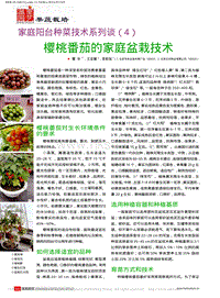 家庭陽臺種菜技術(shù)系列談4 櫻桃番茄的家庭盆栽技術(shù)