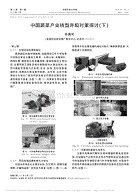中國蔬菜產(chǎn)業(yè)轉型升級對策探討(下)